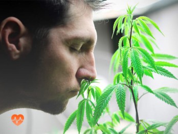 Детоксикация от марихуаны в Кудрово